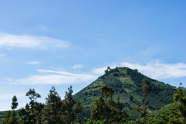 istock Hill and the blue sky in the morning 502696406