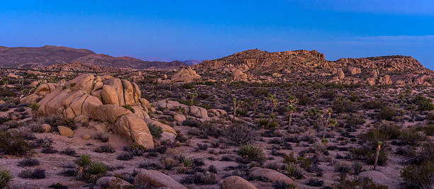 istock Joshua Tree National Park 502696840