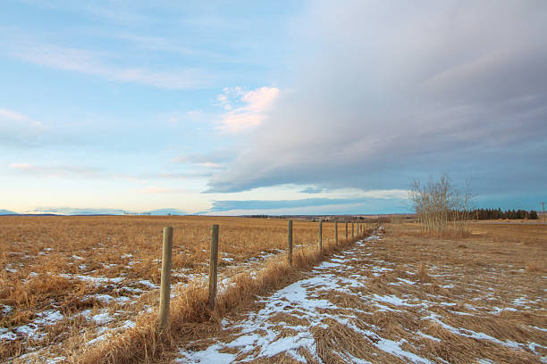 praire フェンスで冬の風景 - prairie farm winter snow ストックフォトと画像