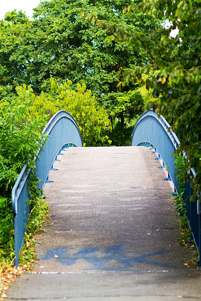 istock Pathway and bridge in Heidelberg 502699732