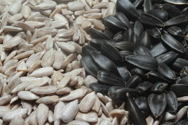 Seeds for eating healthy and happy life. Food. Background.
