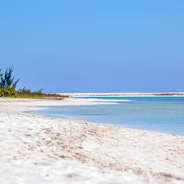istock Paraiso beach in Cayo Largo island 502701878