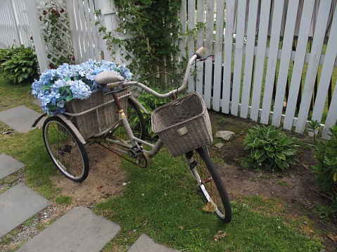 Nantucket Tricycle with Blue Flowers