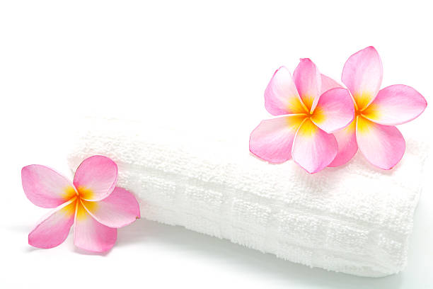 핑크 plumeria, 타월 - relaxation bali spa treatment frangipani 뉴스 사진 이미지