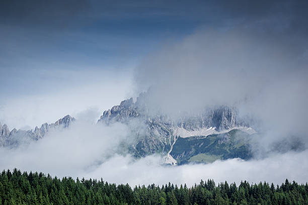 mountain con alberi di pino in primo piano - screes foto e immagini stock