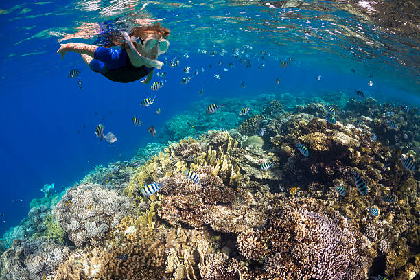 istock Boy in the land of fish 502705001