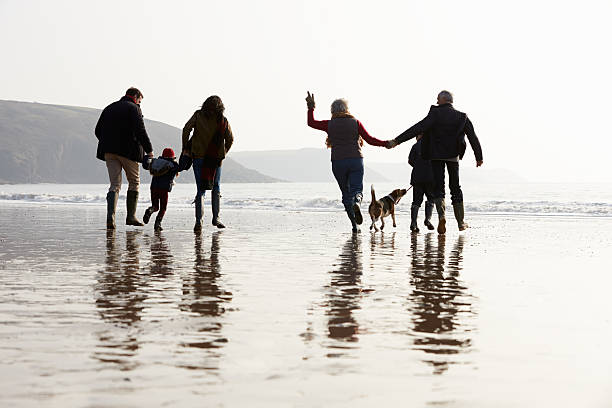 istock Multi Generation Family Walking On Winter Beach With Dog 502705355