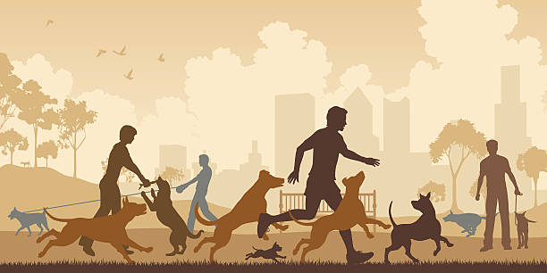 ilustraciones, imágenes clip art, dibujos animados e iconos de stock de para perros park - group of dogs