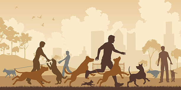ilustrações, clipart, desenhos animados e ícones de cães park - group of dogs