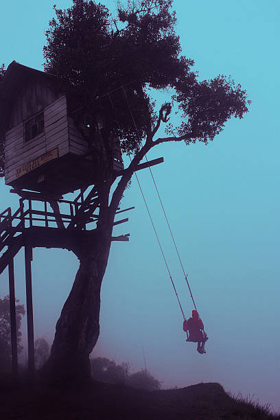 as mais swing em casa del arbol, as tree house - birds eye chilli - fotografias e filmes do acervo
