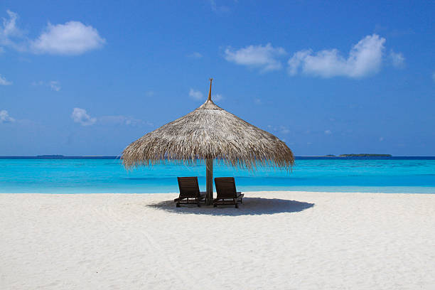 istock Perfect beach with Blue Ocean 502706622