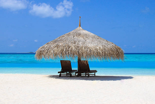 istock beach hut in the sun 502706984