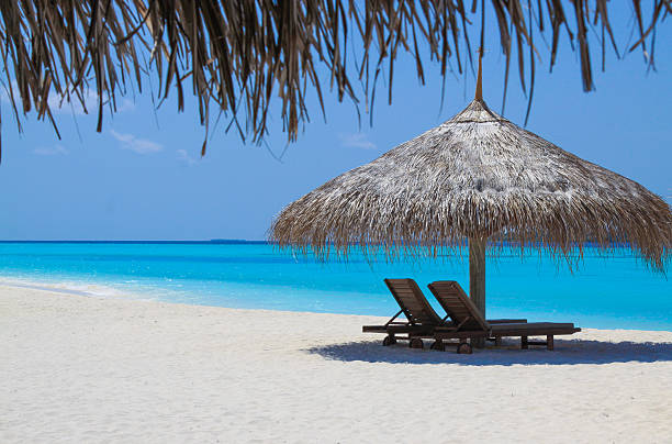 istock Paradise Holiday by the sea 502707220