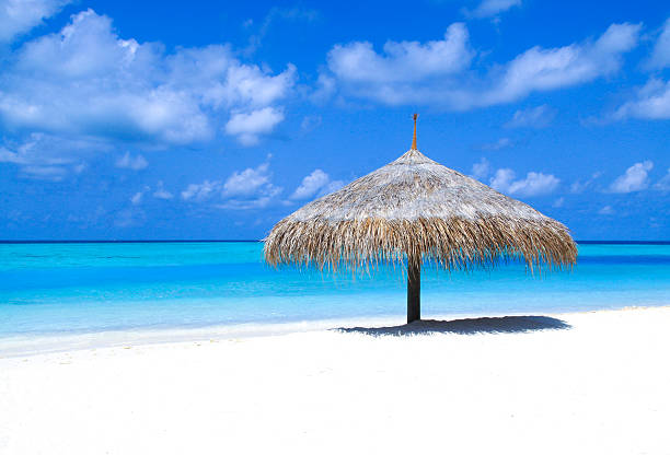 istock Perfect Beach in the sunshine 502708410