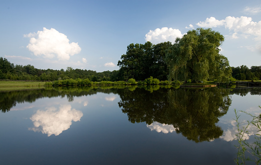 Peaceful pond with beautiful reflection of puffy white clouds and trees in the background