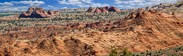 istock Coyote Buttes Vista 502709483