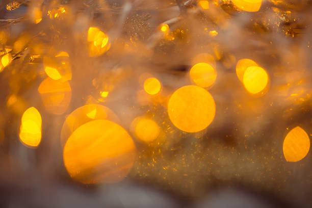 istock Christmas holiday lights bokeh background 502710348