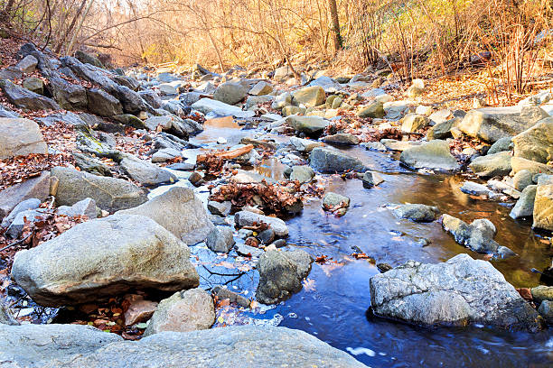 istock Minnehaha Stream - Bethesda, Maryland 502711328