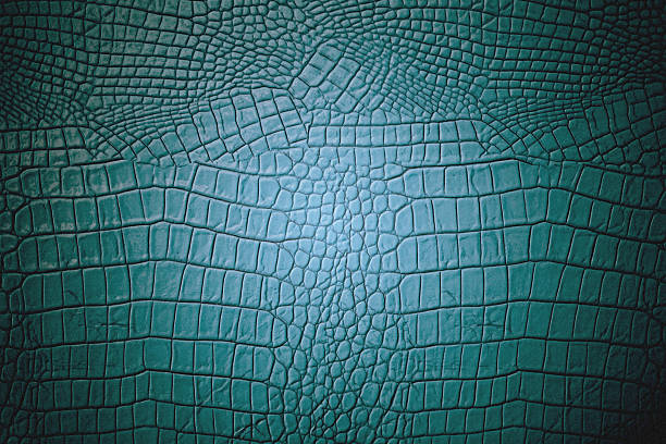 istock Green art luxury leather texture and background 502722677