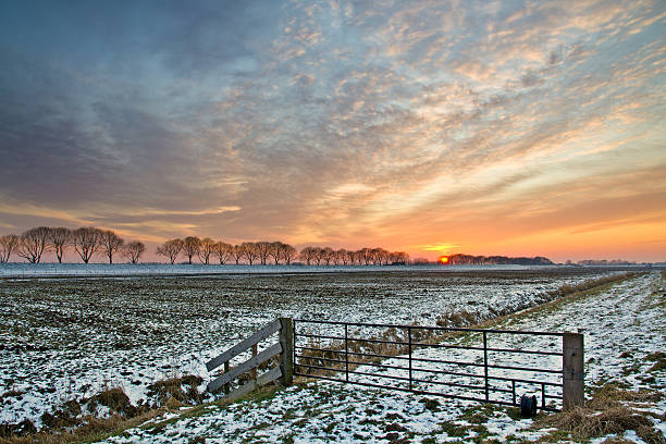 istock Beautiful sunset on a nice winterday with little snow. 502722978