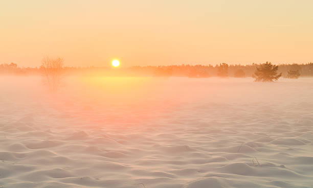 istock Snow on the Rucphense Heide. 502722992