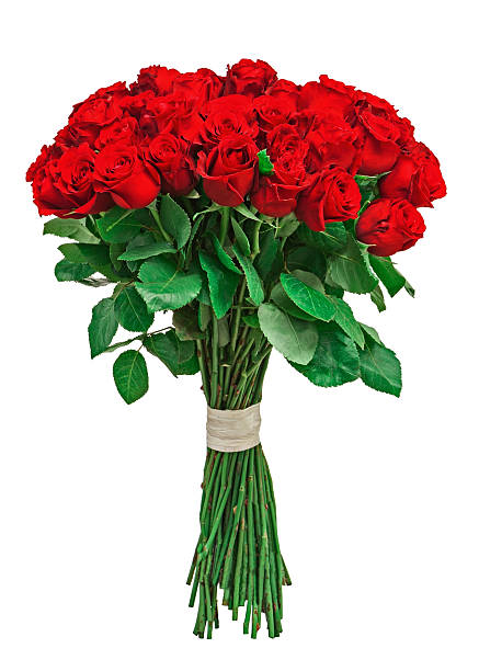 istock Colorful flower bouquet isolated on white background. 502723141