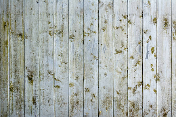istock wood walls 502723827
