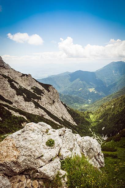 istock Aerial view of a mountain valley 502724815