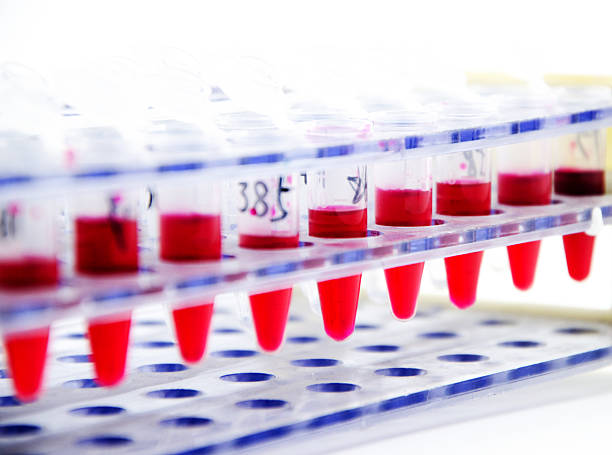 istock Blood collection tube 502725857