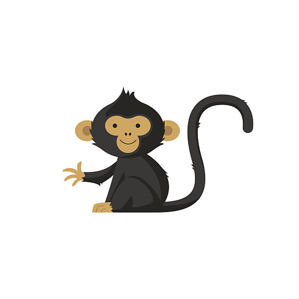 Monkey logo Vector Cute monkey icon, logo or symbol on white background.  monkey illustrations stock illustrations