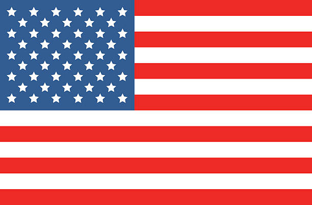 vector american flag - amerikanın eyalet sınırları illüstrasyonlar stock illustrations