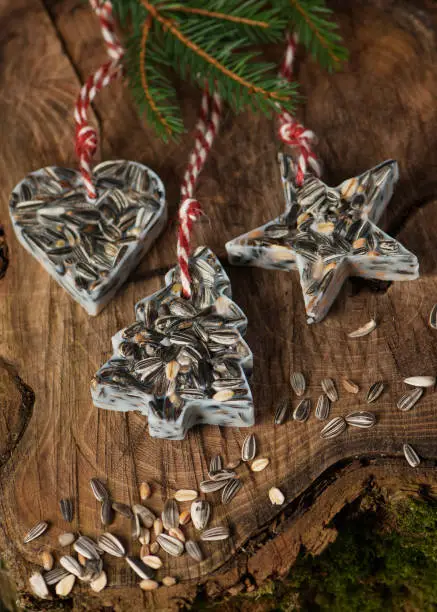 Homemade little birdseed Christmas ornaments. Fir tree, Heart and Star shapes.