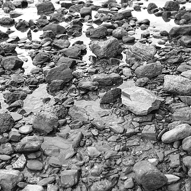 istock Seashore stones. Black and white photo 502733940