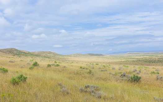 Vermillion, Nebraska, USA - Open prairie, grassland, and dry scrub and hills under a bright sky in summer near Vermillion, Nebraska, USA.