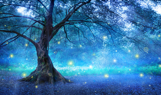 Lonely tree with mist and fireflies in forest