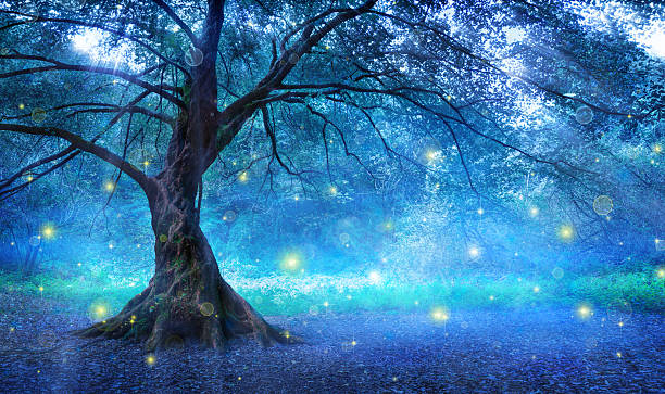 Fairy Tree In Mystic Forest Lonely tree with mist and fireflies in forest mystery stock pictures, royalty-free photos & images