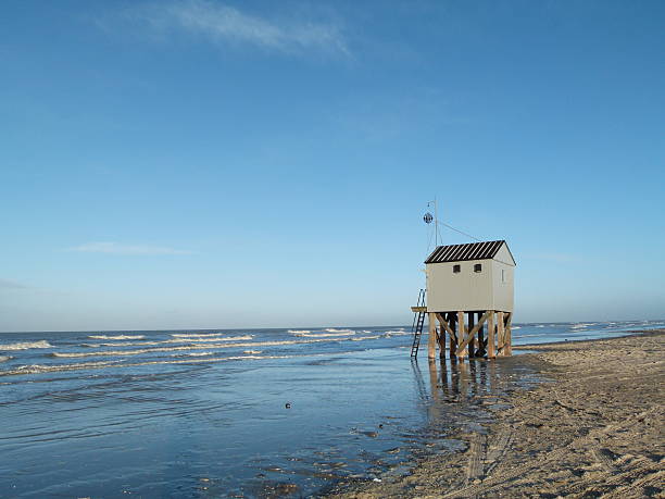istock Beach house on a sunny day 502737784