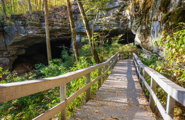 istock Russell Cave National Monument 502738198