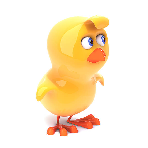 istock Little chick turns to the side 502738375