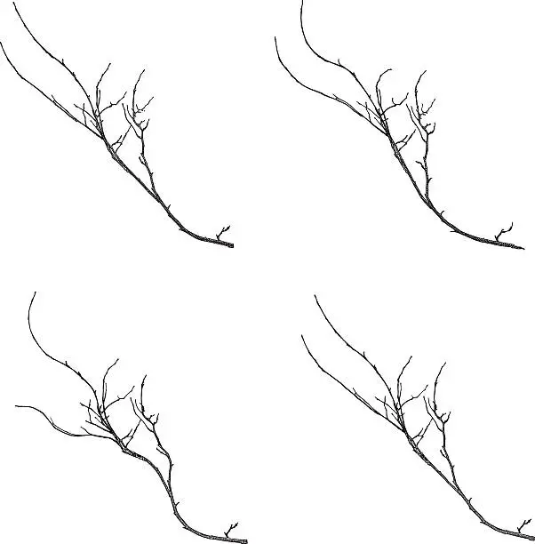 Vector illustration of Twigs Isolated On White Background