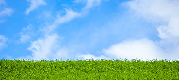 istock Rice Terrace at Maechaem in Thailand 502738823