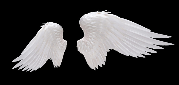 Ángel alas blancas photo