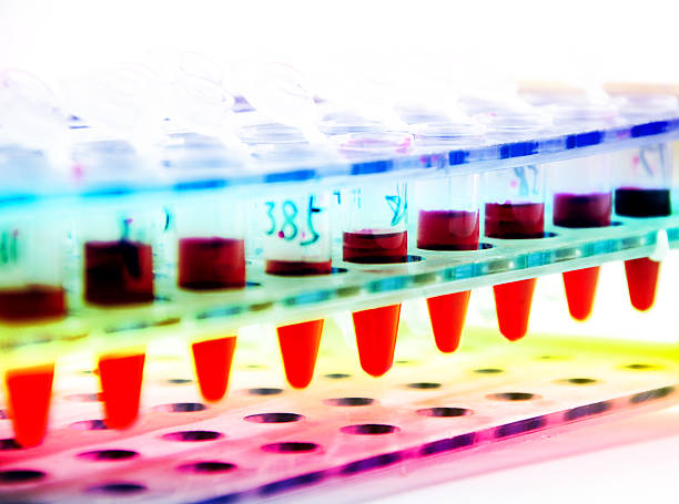 istock Blood collection tube 502739209