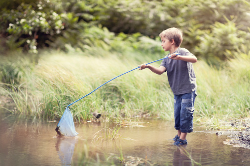 Boy in a pond with a fishing net catching fish in the summer sun concept for childhood, healthy lifestyle and vacation