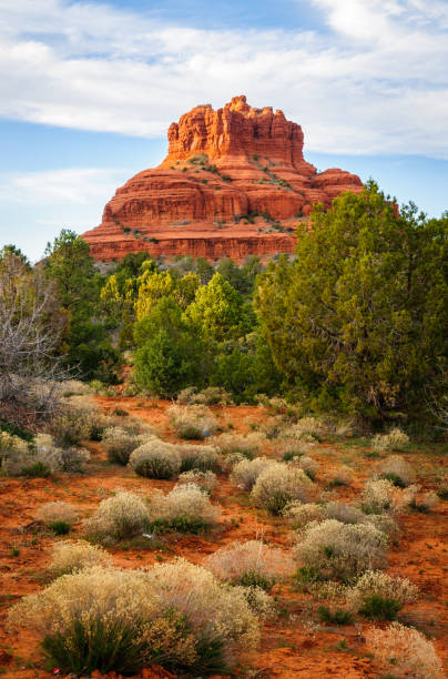 Sedona, Arizona Sedona, Arizona coconino national forest stock pictures, royalty-free photos & images