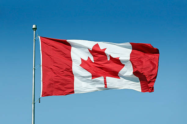 istock Canadian Flag Flying On Flagpole Against A Blue Sky 502740180