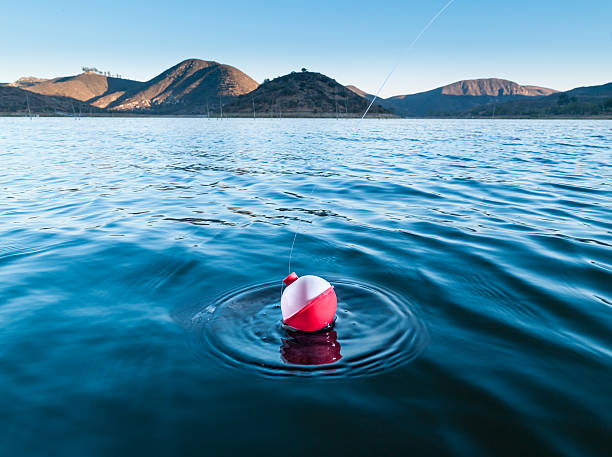 Le Bouchon de pêche - Photo