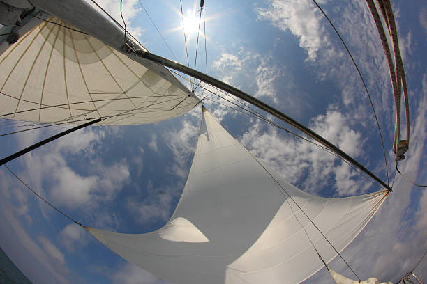 żeglarstwo wyścigu - regatta sports race sailing nautical vessel zdjęcia i obrazy z banku zdjęć