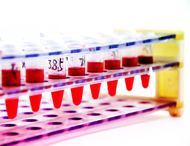 istock Blood collection tube 502742573