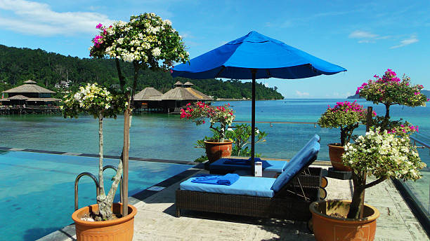 istock Island resort with bungalows 502743097